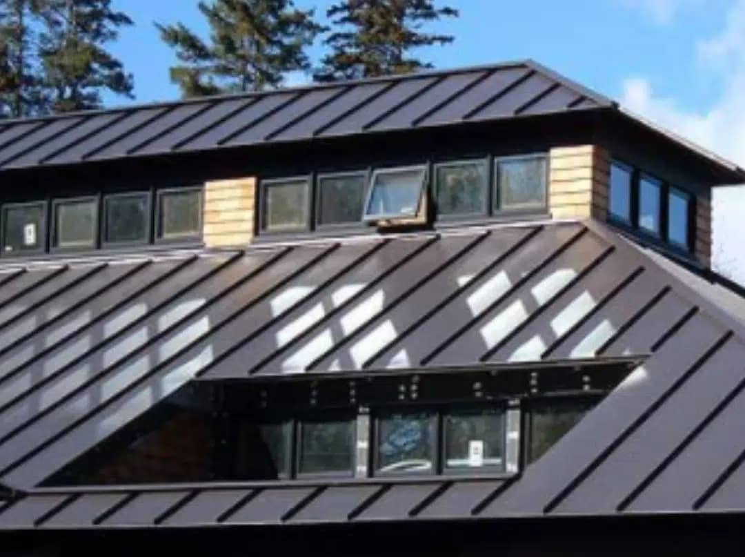 Home with Black Metal Roofing
