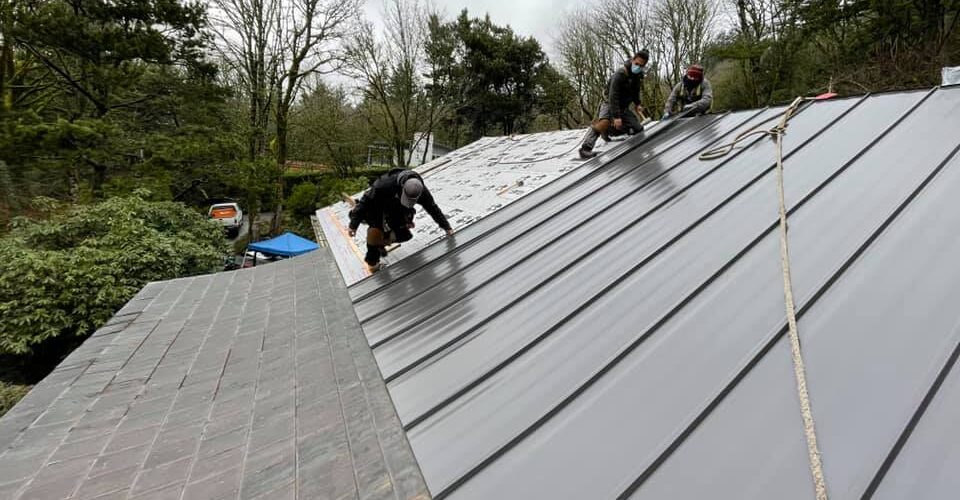 Professional Steel Roofing