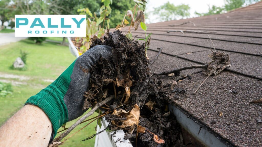 gutter cleaning